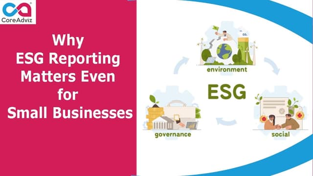 Why ESG Reporting Matters Even for Small Businesses