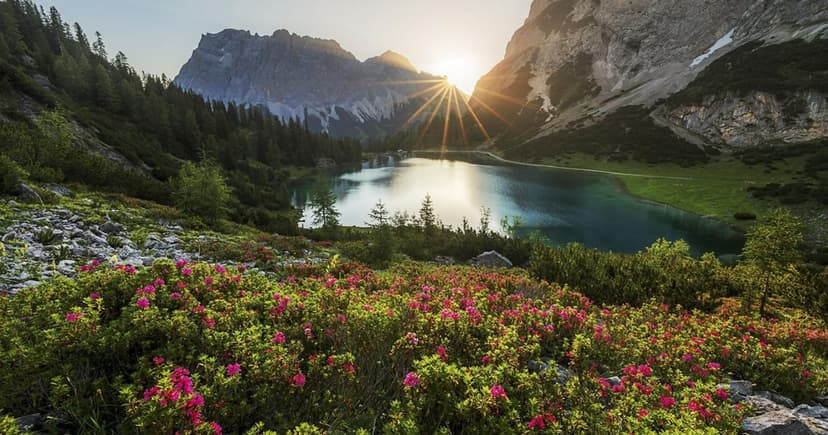 Lorem Ipsun Dolot Twend