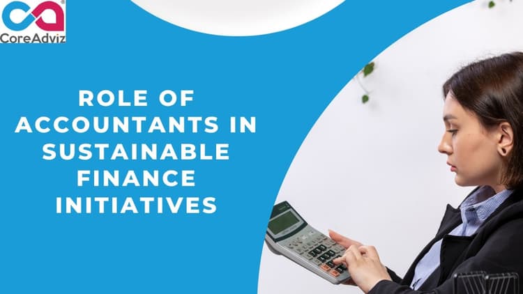 Role of Accountants in Sustainable Finance Initiatives